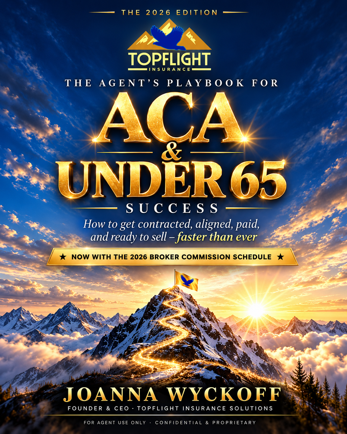 ACA and Under 65 Success guidebook cover